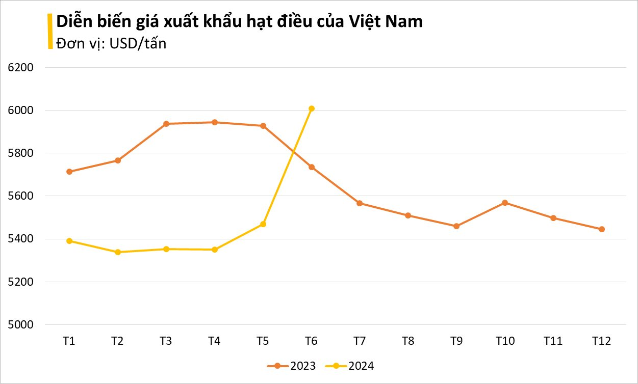 Loại hạt Việt Nam đứng đầu thế giới về xuất khẩu: Mỹ chốt đơn nửa tỷ USD, giá tăng vọt trong tháng 6- Ảnh 2.