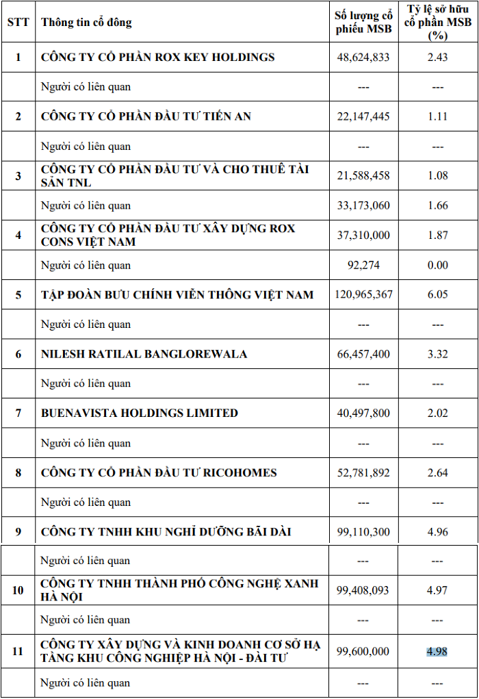 11 cổ đông nắm giữ 35% vốn MSB: Nhiều doanh nghiệp liên quan đến ROX Group- Ảnh 2.