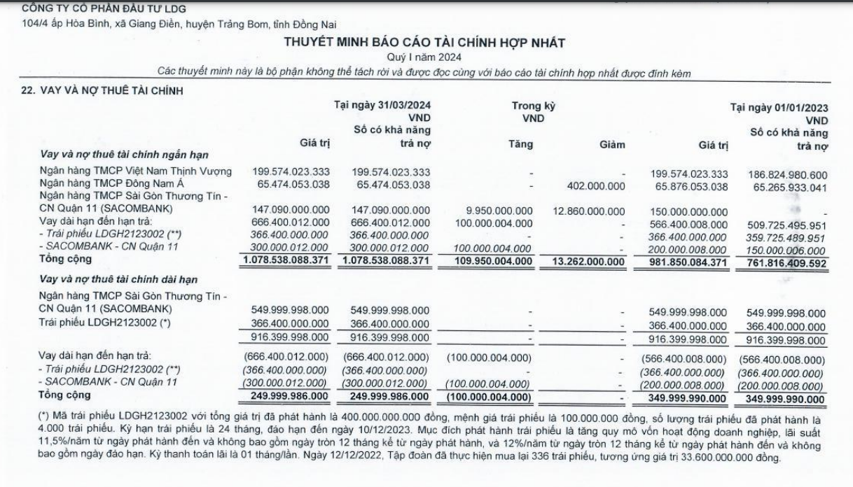 LDG trần tình việc bị mở thủ tục phá sản vì nợ nần: Chủ nợ còn những ai?- Ảnh 1.