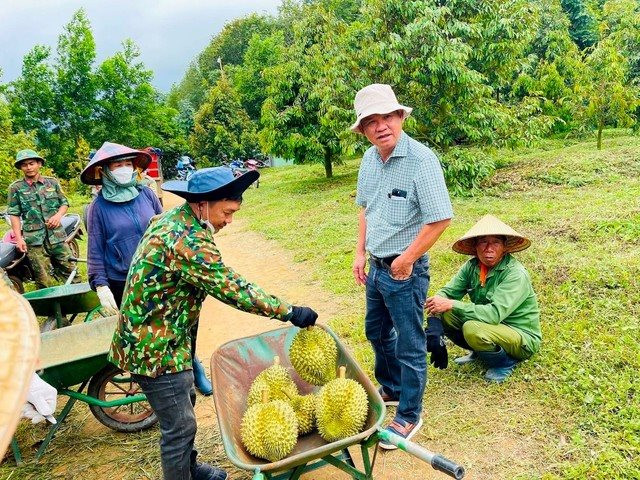 Sở hữu 700 ha thu hoạch nghịch vụ, loại cây 'bán giá nào cũng lãi' của bầu Đức sắp thu bộn nhờ ‘một mình một chợ’- Ảnh 1.