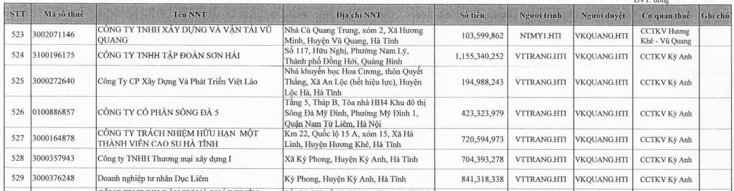 Tập đoàn Sơn Hải xuất hiện trong danh sách nợ thuế đến cuối tháng 6 của tỉnh Hà Tĩnh- Ảnh 2.